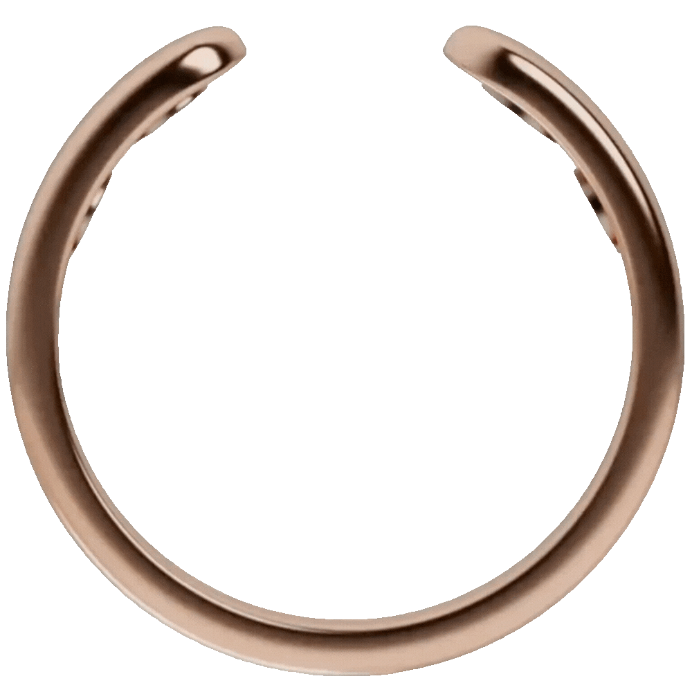 Bavilory magnetic wellness ring